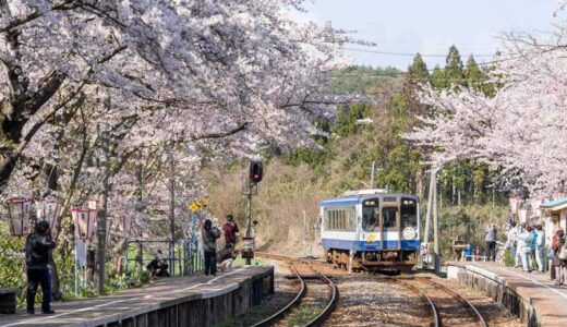 2025年4月 執筆実績