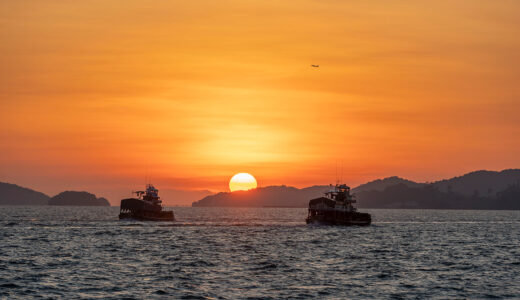 2026年1月 執筆実績