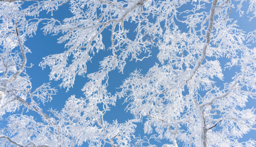 2026年2月 執筆実績